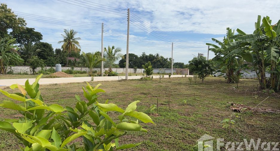 For sale land in Mueang Phrae, Phrae