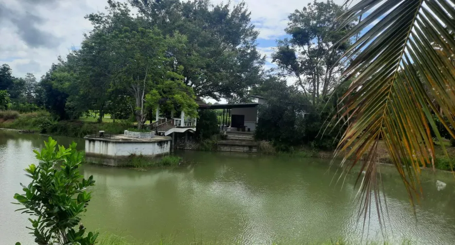 Haus zum Kauf mit 7 Zimmer in Prakhon Chai, Buriram