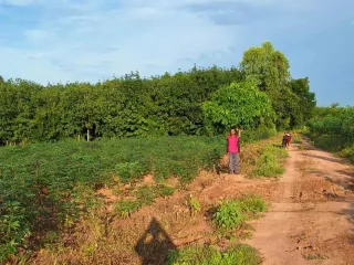For sale land in Kut Chap, Udon Thani