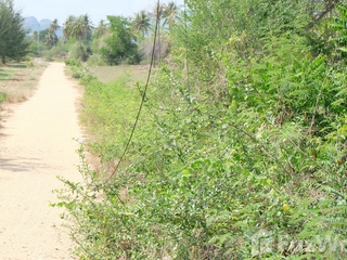 For sale land in Sam Roi Yot, Prachuap Khiri Khan