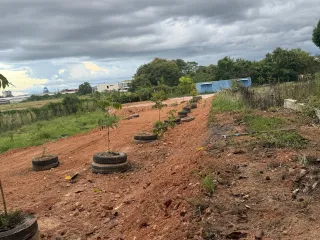 出售 土地 在 Mueang Yala, Yala
