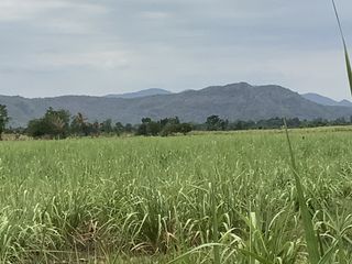 Продажа Участок в Chai Badan, Lopburi