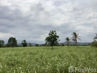 Продажа Участок в Chai Badan, Lopburi