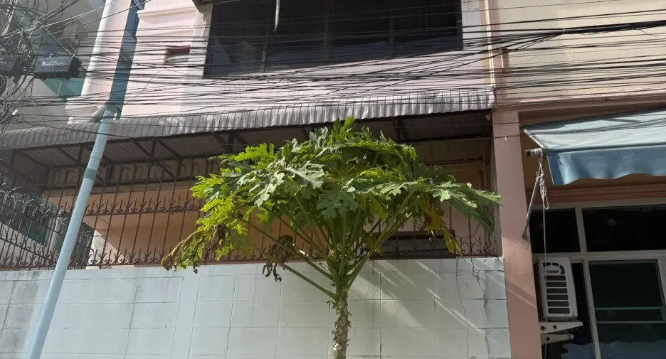 For sale 4 bedrooms townhouse in Bang Lamung, Chonburi