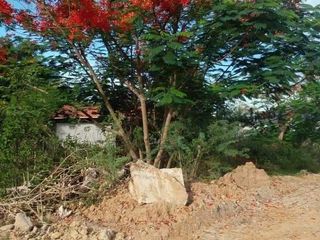 出售 土地 在 华欣, 班武里府