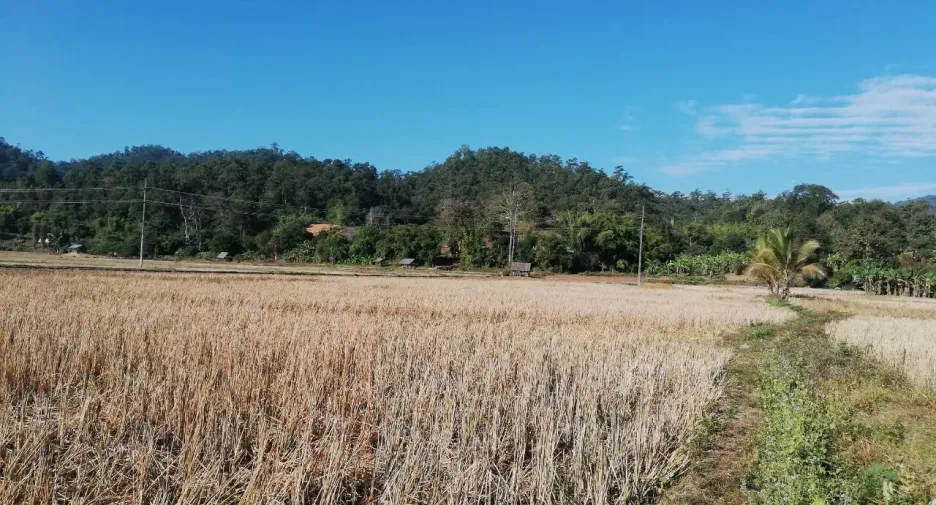 For sale land in Mueang Mae Hong Son, Mae Hong Son