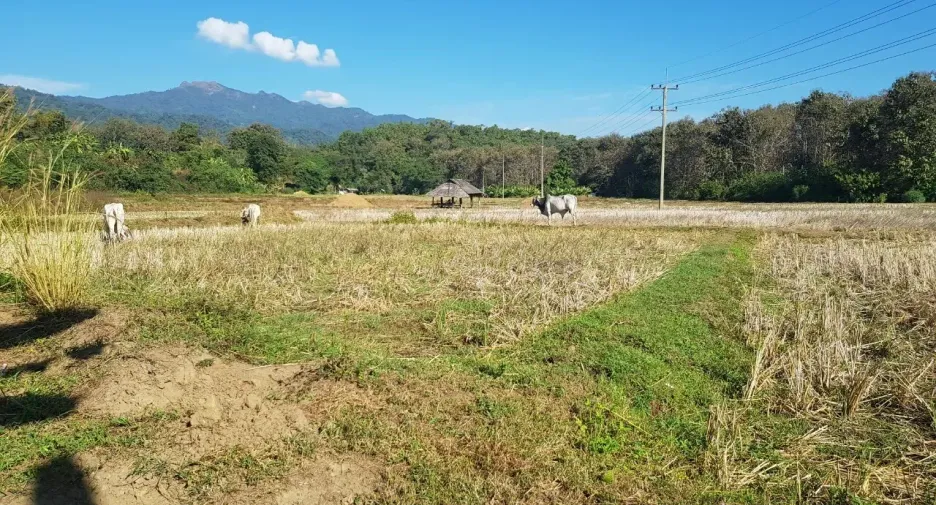 For sale land in Mueang Mae Hong Son, Mae Hong Son