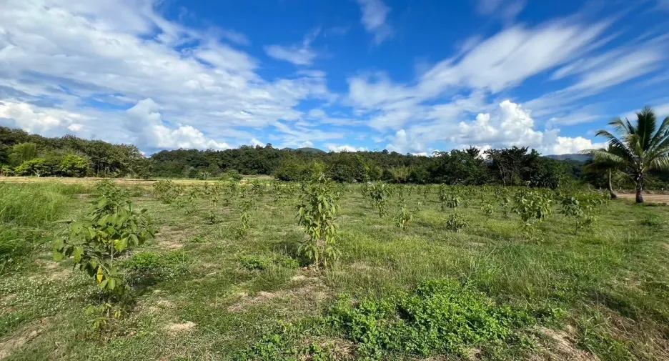 For sale land in Mueang Mae Hong Son, Mae Hong Son