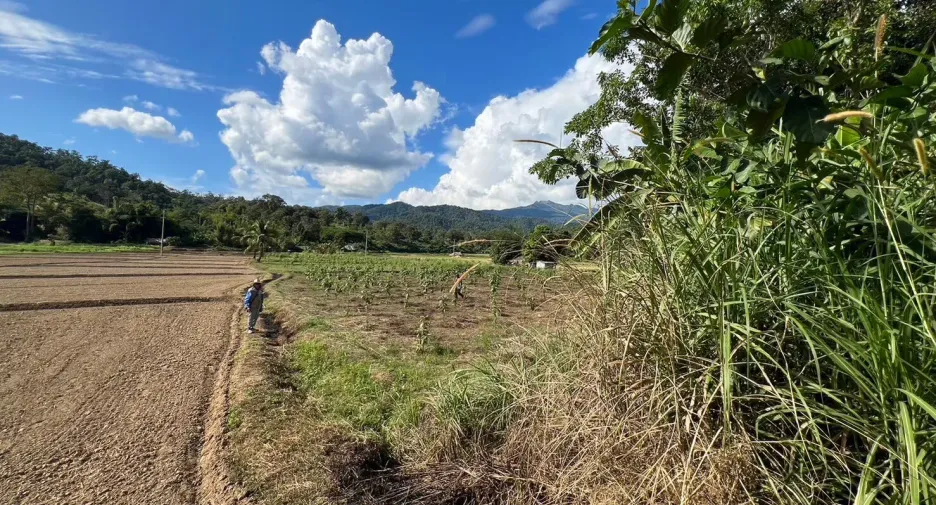 For sale land in Mueang Mae Hong Son, Mae Hong Son