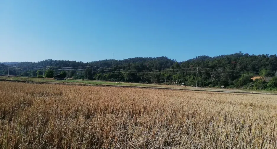 For sale land in Mueang Mae Hong Son, Mae Hong Son