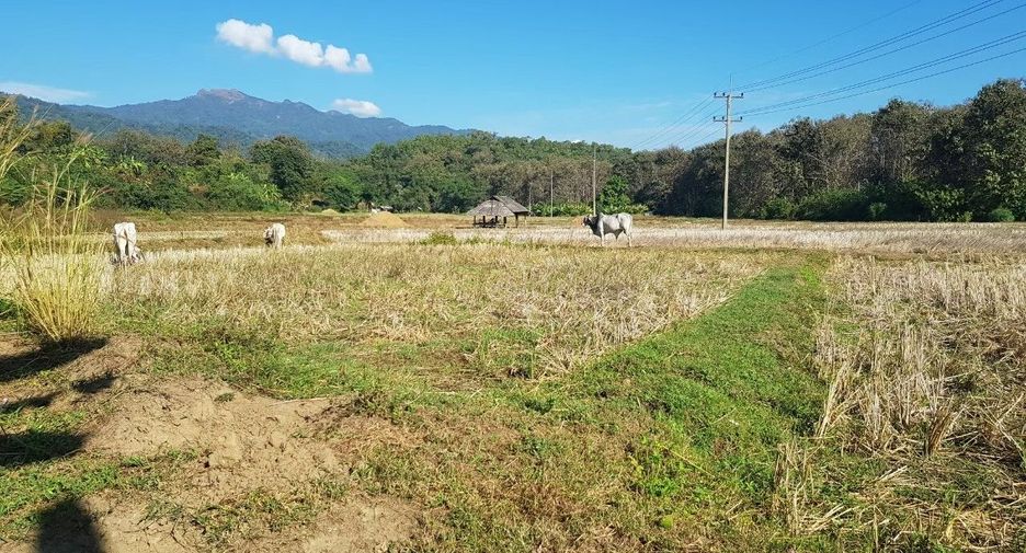 Продажа Участок в Mueang Mae Hong Son, Мэхонгсон