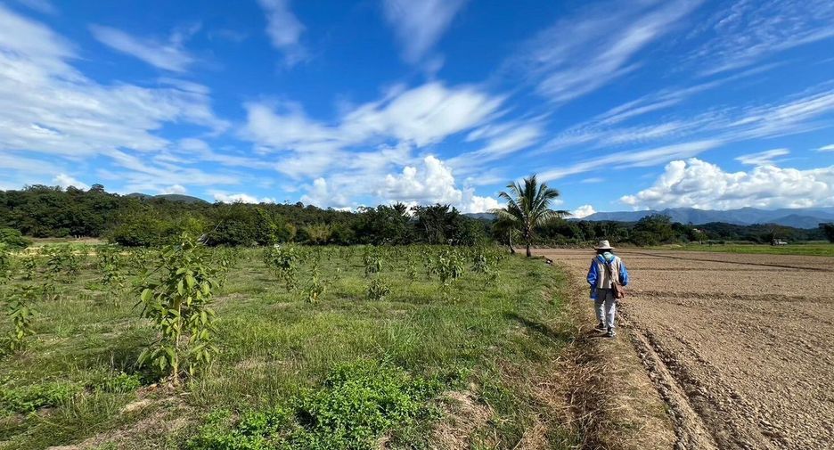 Продажа Участок в Mueang Mae Hong Son, Мэхонгсон