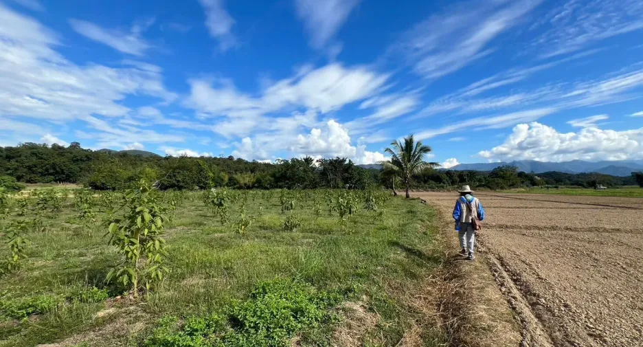 For sale land in Mueang Mae Hong Son, Mae Hong Son