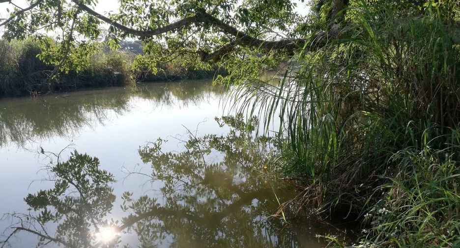 Продажа Участок в Mueang Mae Hong Son, Мэхонгсон