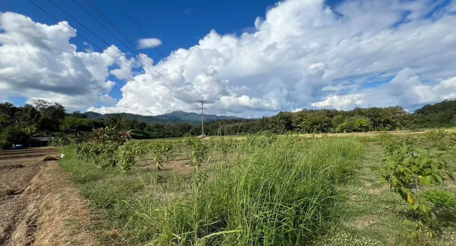 For sale land in Mueang Mae Hong Son, Mae Hong Son