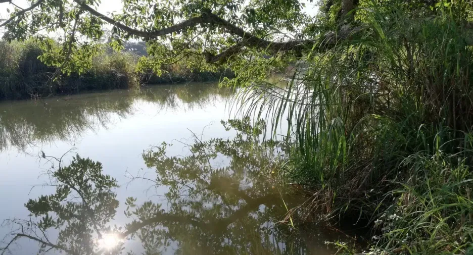 For sale land in Mueang Mae Hong Son, Mae Hong Son