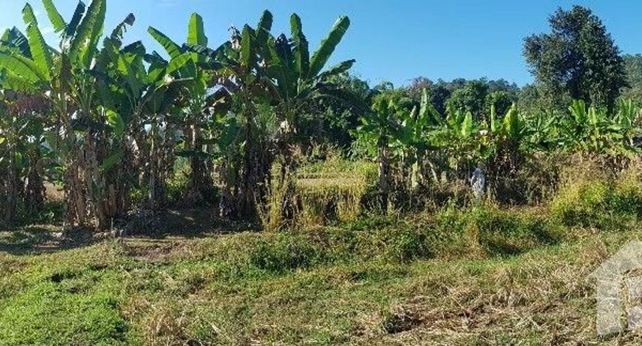 Продажа Участок в Mueang Mae Hong Son, Мэхонгсон