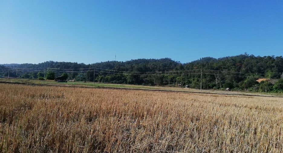Продажа Участок в Mueang Mae Hong Son, Мэхонгсон