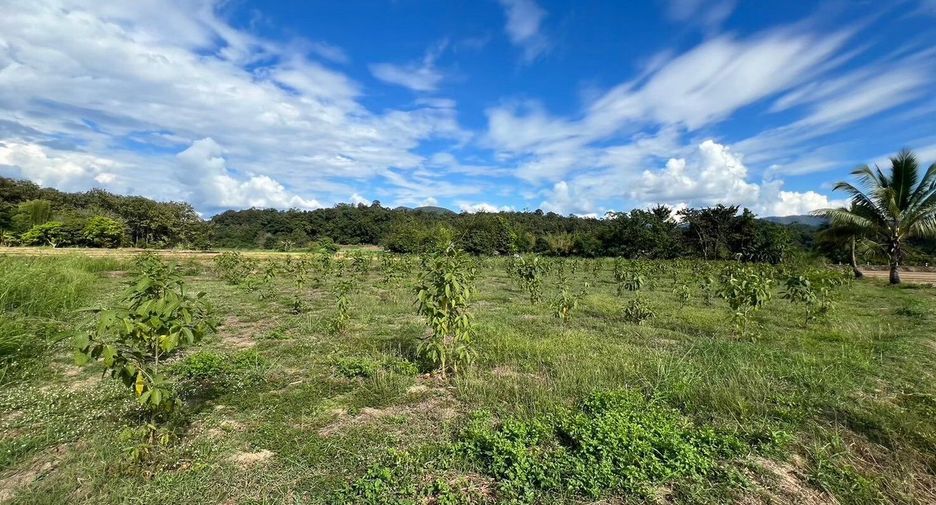 Продажа Участок в Mueang Mae Hong Son, Мэхонгсон