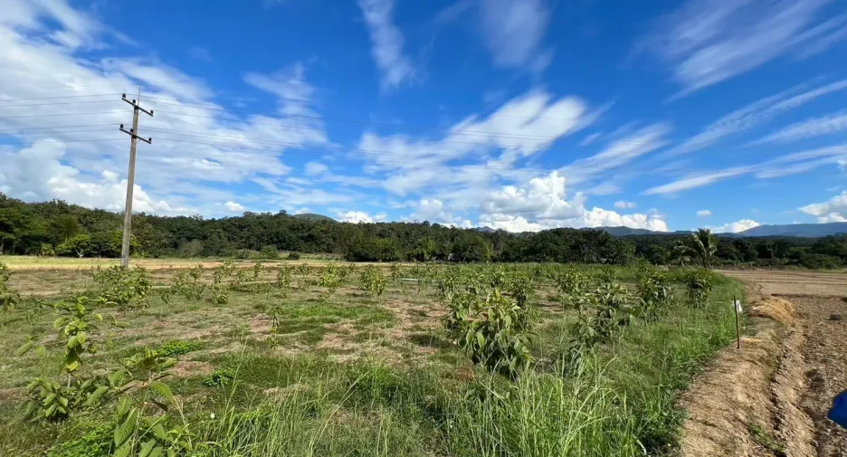 For sale land in Mueang Mae Hong Son, Mae Hong Son