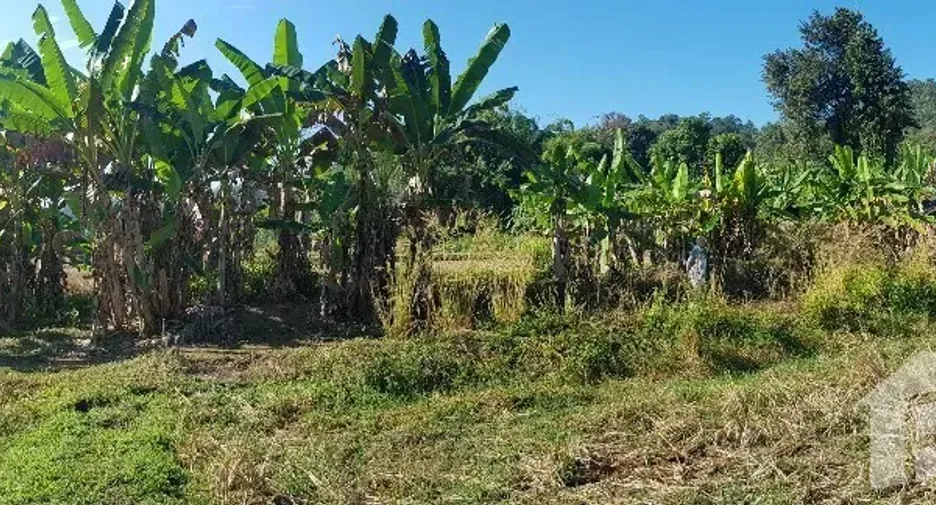 For sale land in Mueang Mae Hong Son, Mae Hong Son