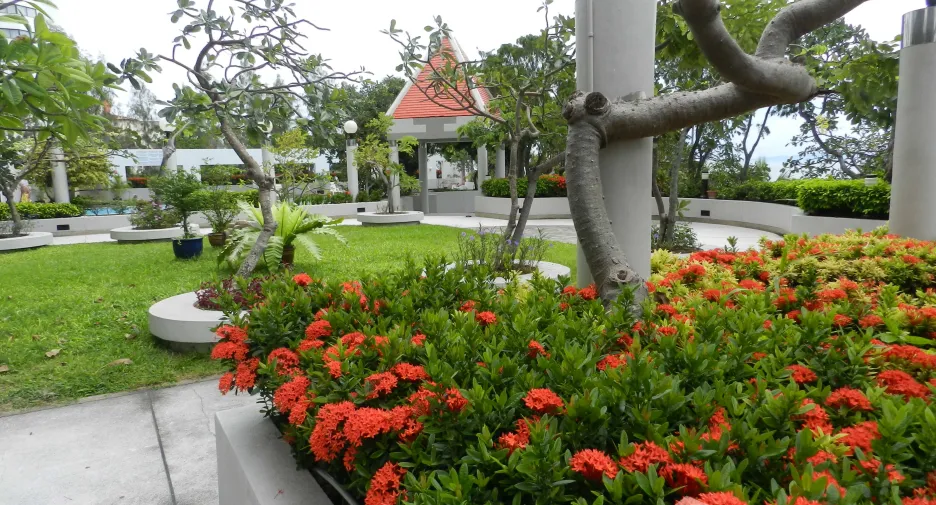 For sale そして for rent スタジオ condo in Bang Lamung, Chonburi
