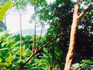 Terreno en venta en Kathu, Phuket