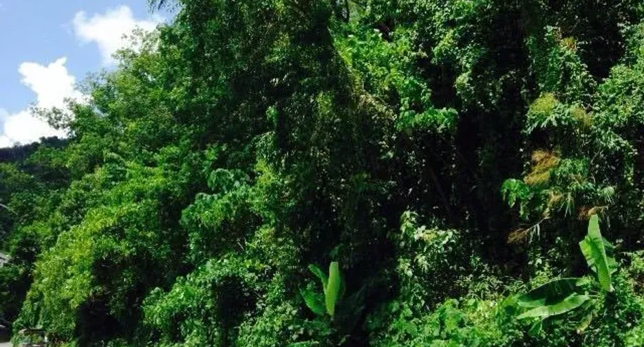 Terreno en venta en Kathu, Phuket