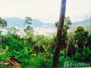 Terreno en venta en Kathu, Phuket