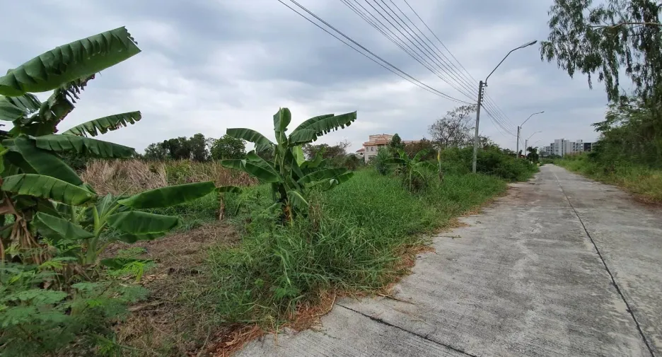 出售 土地 在 Bang Sao Thong, Samut Prakan