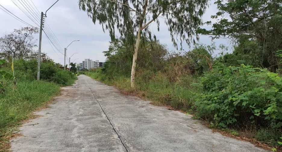 出售 土地 在 Bang Sao Thong, Samut Prakan