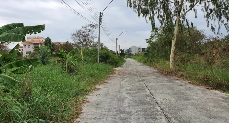 出售 土地 在 Bang Sao Thong, Samut Prakan