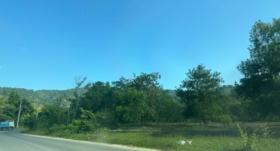 ขาย ที่ดิน ใน ถลาง, ภูเก็ต