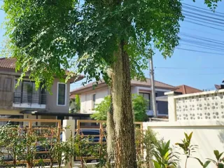 Haus zur Miete mit 4 Zimmer in Kathu, Phuket