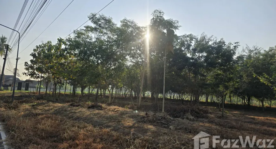 For sale land in Ban Pong, Ratchaburi