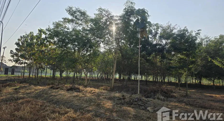 For sale land in Ban Pong, Ratchaburi