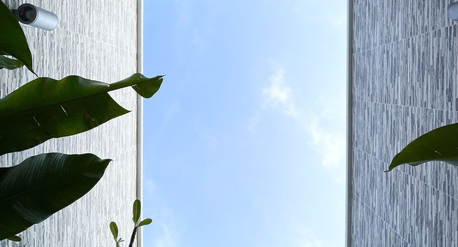 ขาย 4 ห้องนอน วิลล่า ใน ถลาง, ภูเก็ต