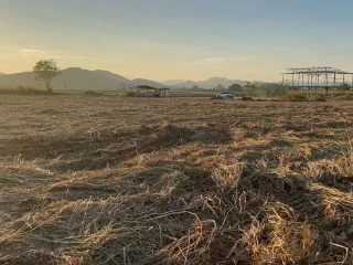 出售 土地 在 华欣, 班武里府