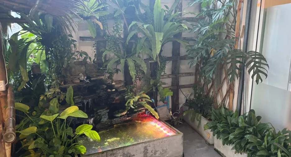 For sale 2 bedrooms retail Space in Kathu, Phuket