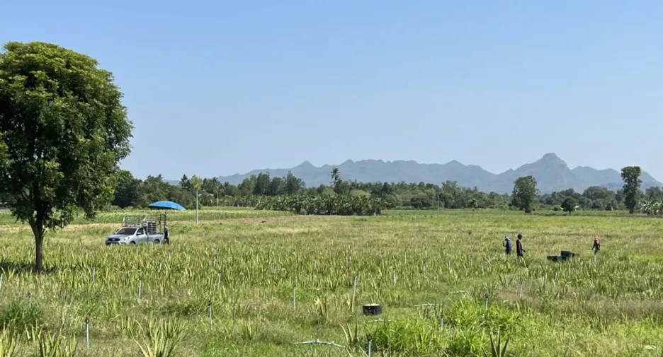 出售 土地 在 Mueang Kanchanaburi, Kanchanaburi