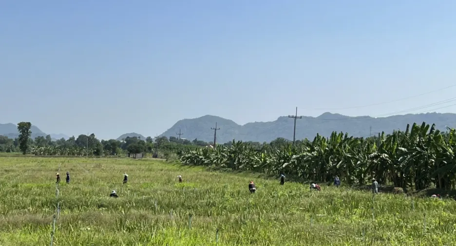 出售 土地 在 Mueang Kanchanaburi, Kanchanaburi