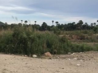 For sale land in Pran Buri, Prachuap Khiri Khan