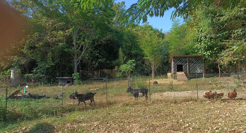 ขาย 4 ห้องนอน บ้านเดี่ยว ใน แกลง, ระยอง