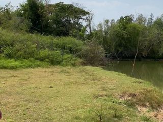出售 土地 在 Mueang Surin, Surin