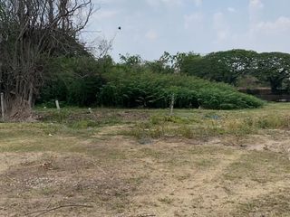 出售 土地 在 Mueang Surin, Surin