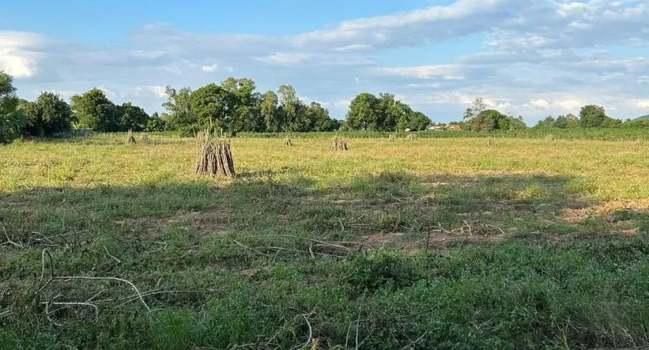 À vendre terrain à Bang Lamung, Chonburi