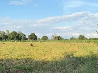 For sale land in Bang Lamung, Chonburi