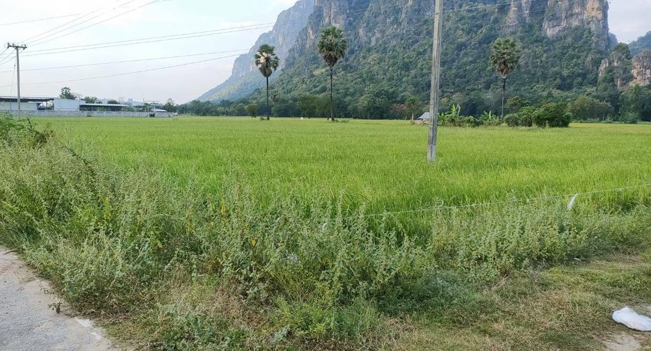 ขาย ที่ดิน ใน ชะอำ, เพชรบุรี