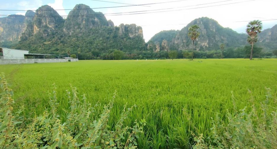 ขาย ที่ดิน ใน ชะอำ, เพชรบุรี
