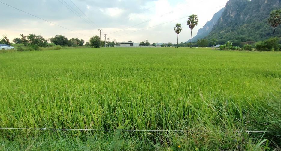 ขาย ที่ดิน ใน ชะอำ, เพชรบุรี